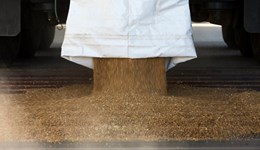 Economics of growing UK milling wheat